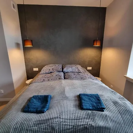 Piekny Przy Parku, Blisko Dworca, Centrum *